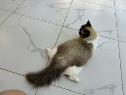 -悦己美甲美睫