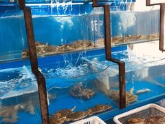 水产区-老东镇啤酒屋海鲜加工·蒸汽海鲜·海鲜烧烤(台东店)