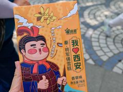 -秦始皇帝陵博物院(兵马俑)