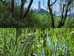 -北坞公园