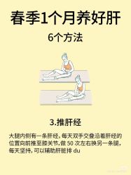 -玛莲朵·海菲秀冰珀科