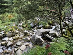 -苍山感通索道