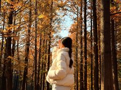 -白水寺森林公园
