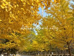 -长白岛森林公园