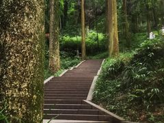 -青城山