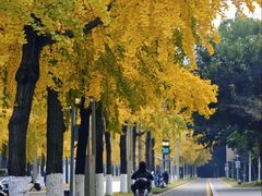 -四川大学(望江校区)