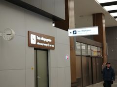 -谢列梅捷沃国际机场