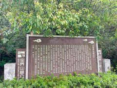 -宝界山林公园