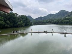 -深圳龙潭公园