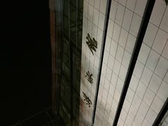 -浙江工业大学（朝晖校区）-游泳馆
