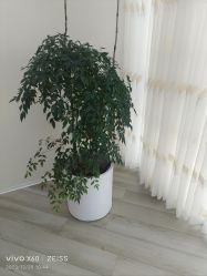-HEYAN荷妍专业脱毛连锁机构