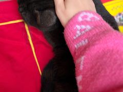 -龙华素斋(龙华路店)