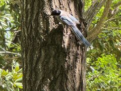 -苏州河梦清园环保主题公园