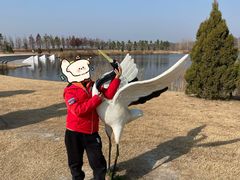 -盐城丹顶鹤湿地生态旅游区