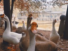 -长安大学(北校区)