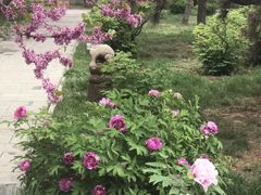 -洛阳古墓博物馆