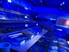-青蓬蒸汽海鲜·深圳老字号·团建聚会(壹方城店)