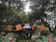-广州长隆飞鸟乐园