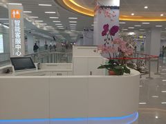 -芳村(地铁站)