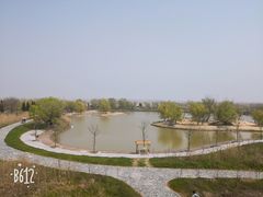 -盐城丹顶鹤湿地生态旅游区