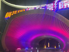 -枫花园汽车电影院(朝阳公园店)