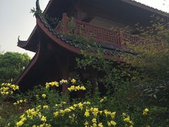 -堤角公园