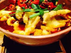 -云海肴·汽锅鸡·云南菜(天津国金汇店)