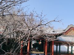 -宫事颐庭·老佛爷贵寿下午茶(颐和园店)