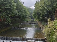 -广州白江湖森林公园