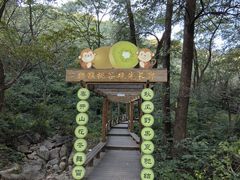 -大岭沟猕猴桃谷风景区