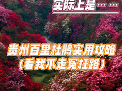 -贵州百里杜鹃风景名胜区
