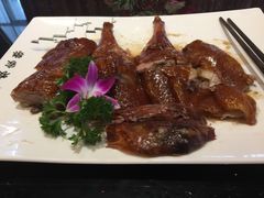 -丰食农家乐