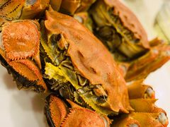 清蒸大闸蟹-王宝和酒家(黄浦店)