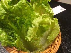 生菜-牛家酒场(7mall店)