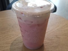 可甜草莓生咖-星巴克(北京望京店)