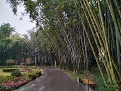 -望江楼公园