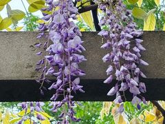 -玄武湖景区-情侣园游乐场