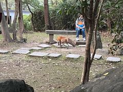 -南京市江宁方山