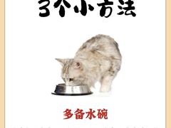 -博特宠物医院24h犬猫全科.骨科·异宠