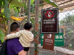 -呀路古热带植物园