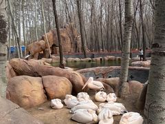 -北京野生动物园