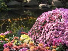 -共青国家森林公园-售票处