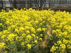 -青岛市市南区实验幼儿园(延吉路园)