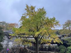 -惠山古镇·寄畅园