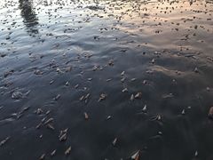 -江山半岛白浪滩景区