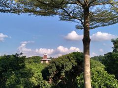 -东莞植物园