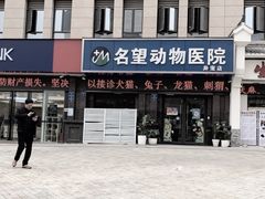 -瑞派名望24h动物医院异宠专科·猫专科·骨科·重症监护分院