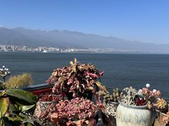 -野菌皇海景野生菌火锅(滨海大道店)