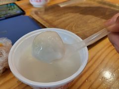 -海丝金凤(金鱼店)