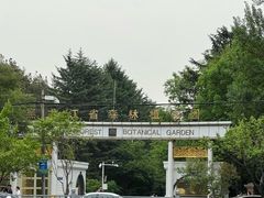 -黑龙江省森林植物园